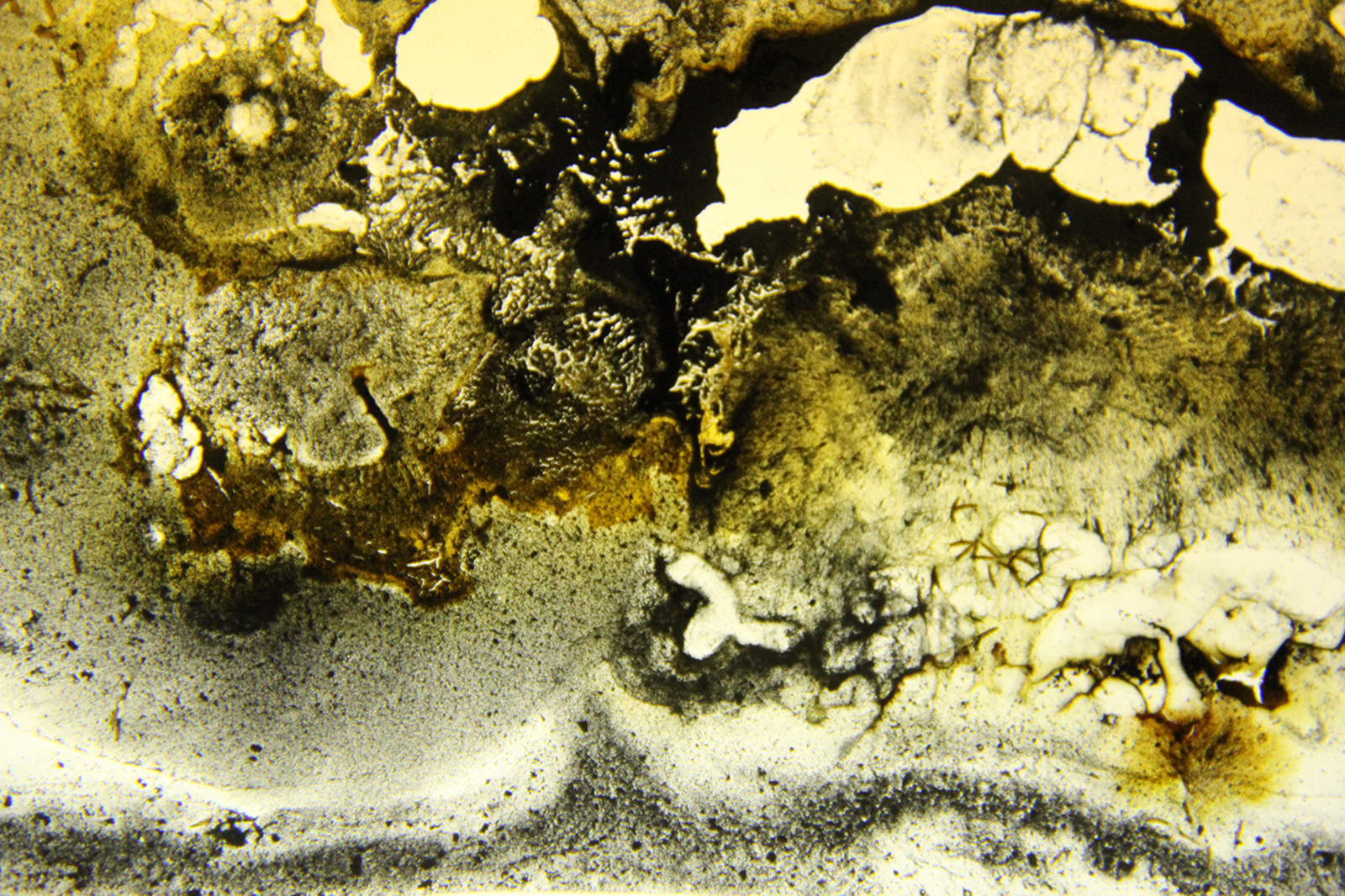 Charlotte Pryce, The Tears of a Mudlark (detail), 2018, hand-made magic lantern slide.